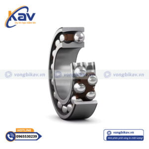 Bạc đạn SKF 1310 EKTN9