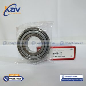 Vòng Bi SKF 6003-2Z