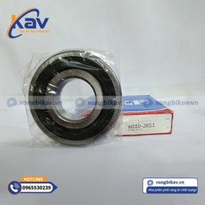 Vòng Bi SKF 6010 2RS1