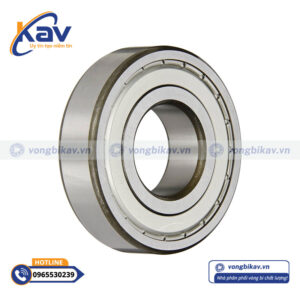 Vòng Bi SKF 6310-2Z C3